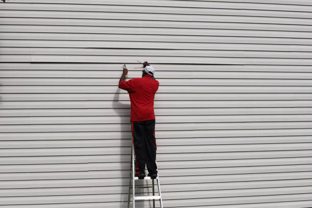 Best Custom Trim and Detailing for Siding  in Walled Lake, MI
